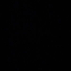 Meet your Posher, Carson